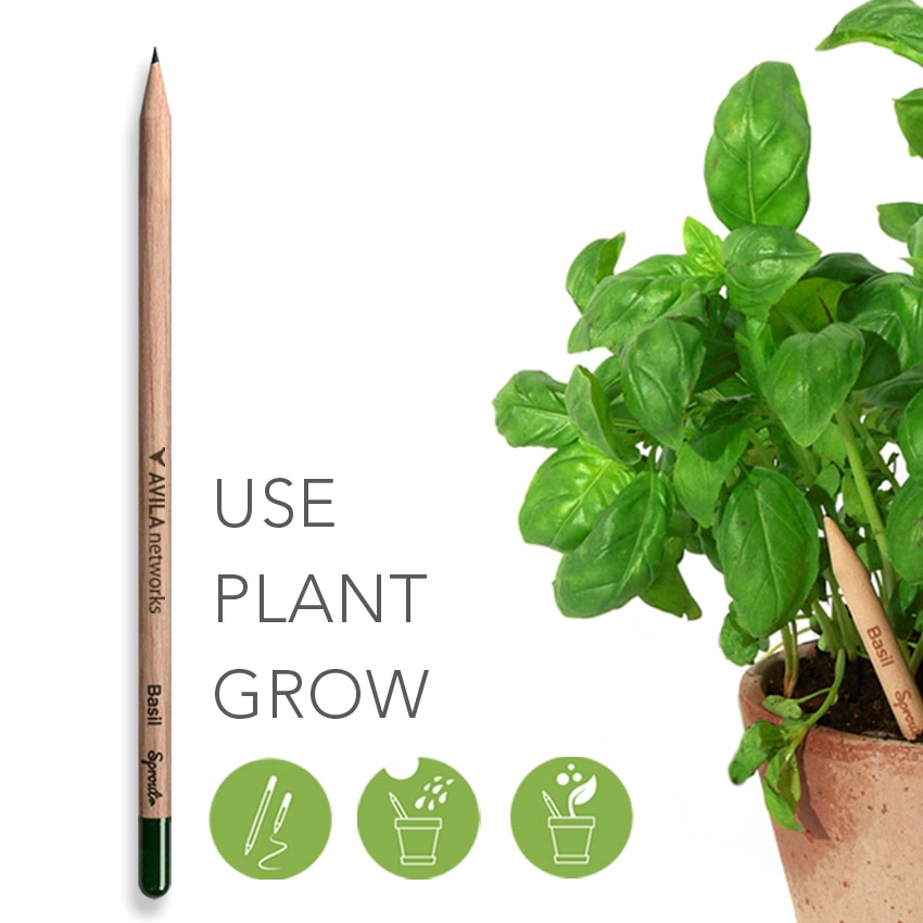 Sprout Customized Plantable Pencil